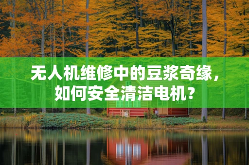 无人机维修中的豆浆奇缘，如何安全清洁电机？