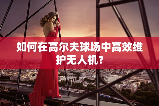 如何在高尔夫球场中高效维护无人机？