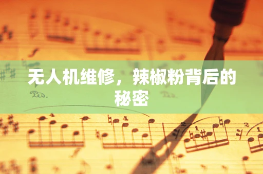 无人机维修，辣椒粉背后的秘密