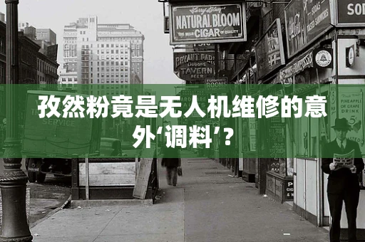 孜然粉竟是无人机维修的意外‘调料’？
