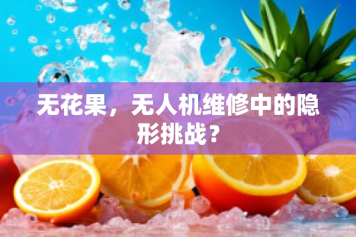 无花果，无人机维修中的隐形挑战？