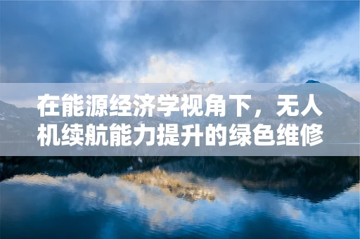 在能源经济学视角下，无人机续航能力提升的绿色维修策略如何优化？