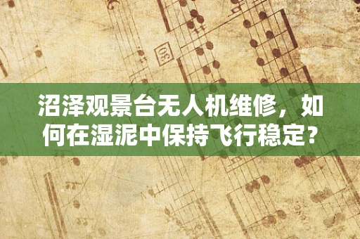 沼泽观景台无人机维修，如何在湿泥中保持飞行稳定？
