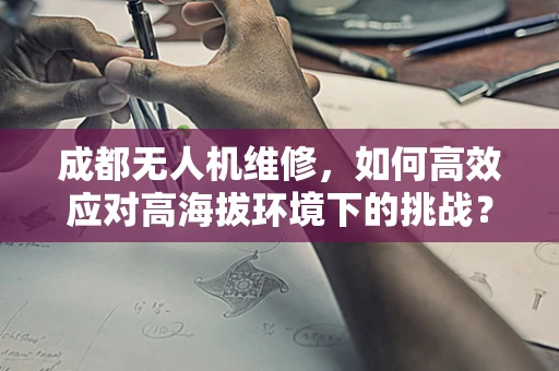 成都无人机维修，如何高效应对高海拔环境下的挑战？