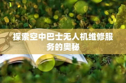 探索空中巴士无人机维修服务的奥秘
