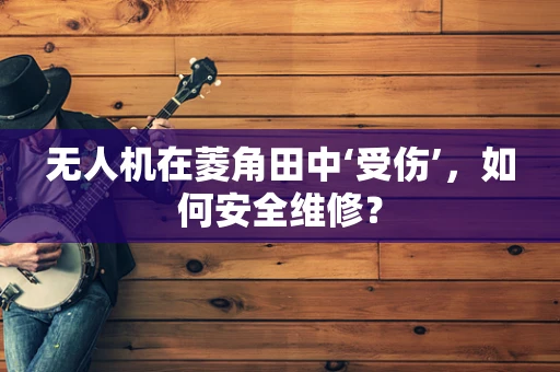 无人机在菱角田中‘受伤’，如何安全维修？