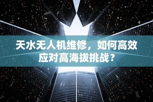 天水无人机维修，如何高效应对高海拔挑战？