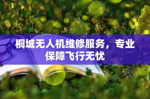 桐城无人机维修服务，专业保障飞行无忧