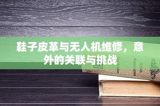 鞋子皮革与无人机维修，意外的关联与挑战