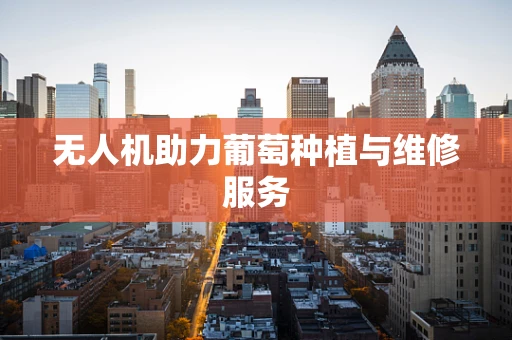 无人机助力葡萄种植与维修服务