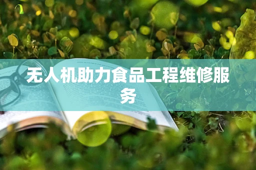 无人机助力食品工程维修服务
