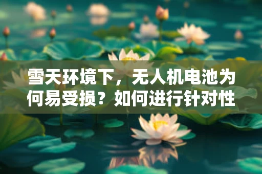 雪天环境下，无人机电池为何易受损？如何进行针对性维护？