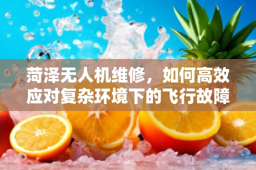 菏泽无人机维修，如何高效应对复杂环境下的飞行故障？