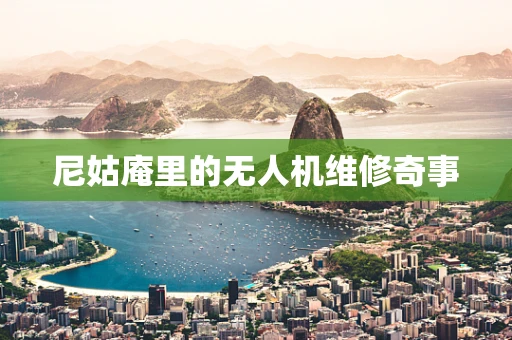 尼姑庵里的无人机维修奇事