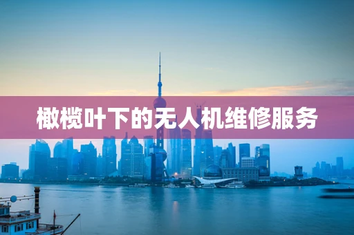 橄榄叶下的无人机维修服务