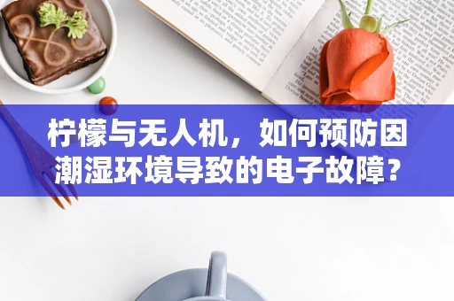 柠檬与无人机，如何预防因潮湿环境导致的电子故障？