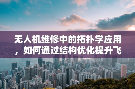 无人机维修中的拓扑学应用，如何通过结构优化提升飞行稳定性？