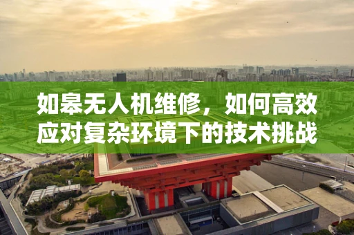 如皋无人机维修，如何高效应对复杂环境下的技术挑战？