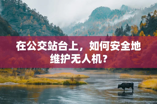 在公交站台上，如何安全地维护无人机？