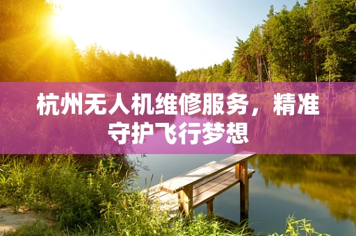 杭州无人机维修服务，精准守护飞行梦想