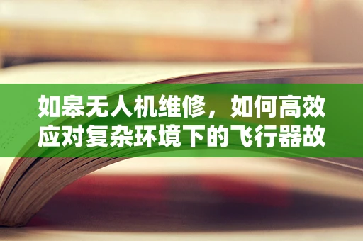 如皋无人机维修，如何高效应对复杂环境下的飞行器故障？