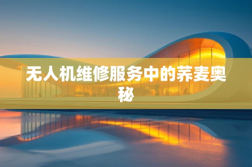 无人机维修服务中的荞麦奥秘