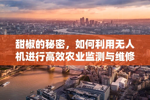 甜椒的秘密，如何利用无人机进行高效农业监测与维修？