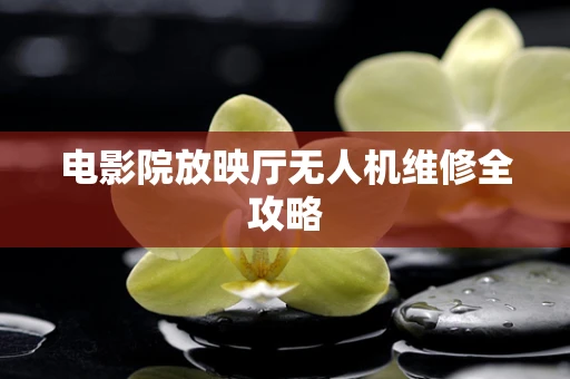 电影院放映厅无人机维修全攻略