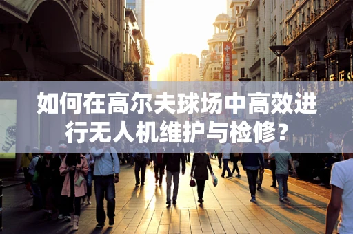 如何在高尔夫球场中高效进行无人机维护与检修？