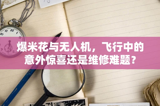 爆米花与无人机，飞行中的意外惊喜还是维修难题？