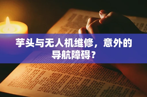 芋头与无人机维修，意外的导航障碍？
