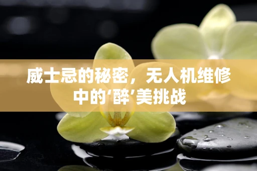威士忌的秘密，无人机维修中的‘醉’美挑战