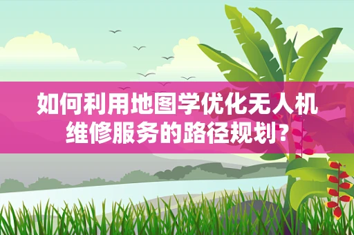 如何利用地图学优化无人机维修服务的路径规划？