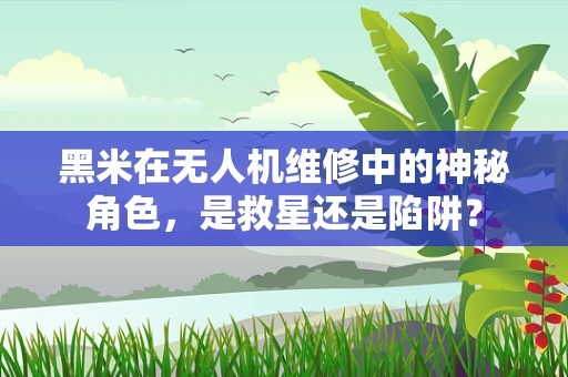 黑米在无人机维修中的神秘角色，是救星还是陷阱？