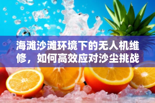 海滩沙滩环境下的无人机维修，如何高效应对沙尘挑战？