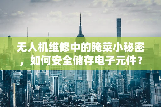 无人机维修中的腌菜小秘密，如何安全储存电子元件？