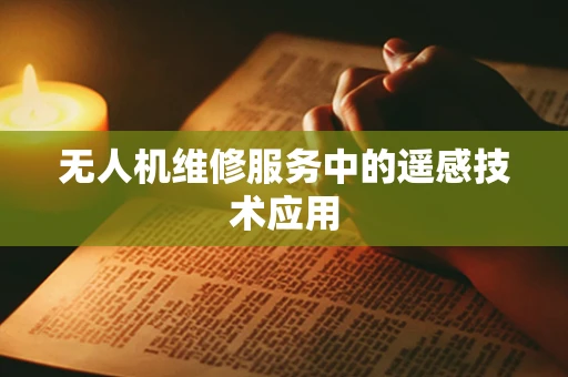 无人机维修服务中的遥感技术应用