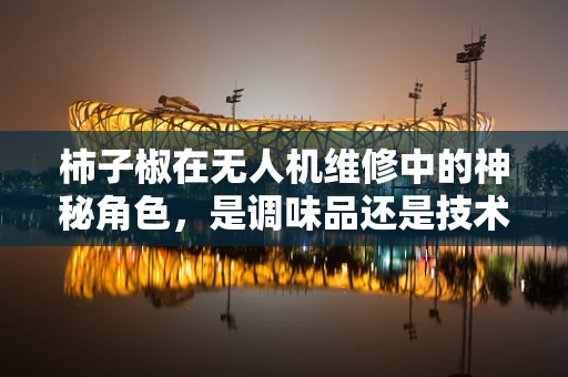 柿子椒在无人机维修中的神秘角色，是调味品还是技术革新？