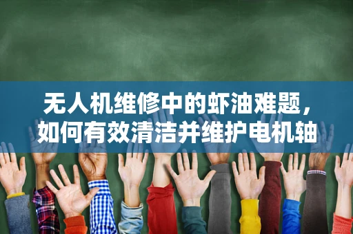 无人机维修中的虾油难题，如何有效清洁并维护电机轴承？
