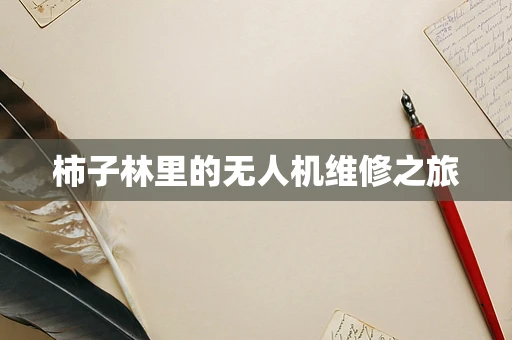 柿子林里的无人机维修之旅