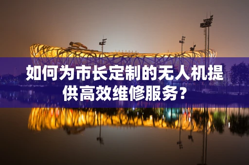 如何为市长定制的无人机提供高效维修服务？