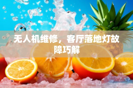 无人机维修，客厅落地灯故障巧解