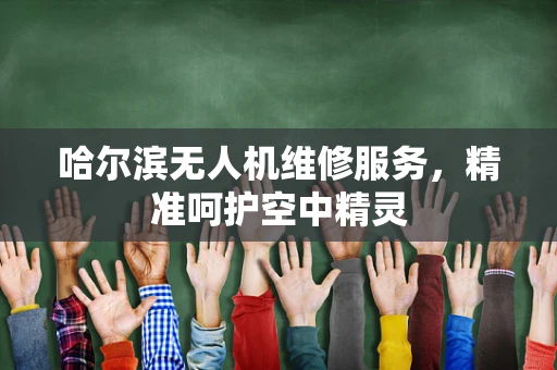 哈尔滨无人机维修服务，精准呵护空中精灵