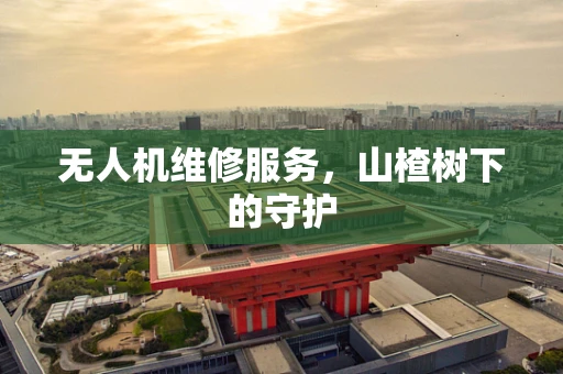 无人机维修服务，山楂树下的守护