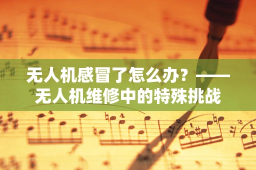 无人机感冒了怎么办？——无人机维修中的特殊挑战