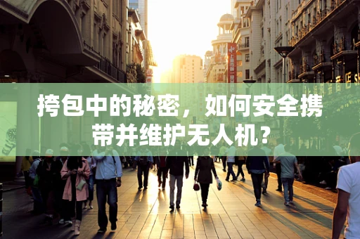 挎包中的秘密，如何安全携带并维护无人机？
