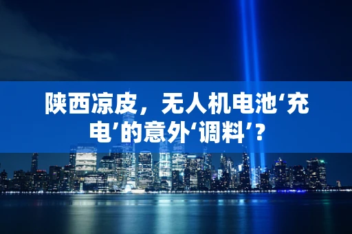 陕西凉皮，无人机电池‘充电’的意外‘调料’？