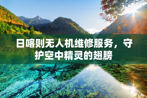 日喀则无人机维修服务，守护空中精灵的翅膀