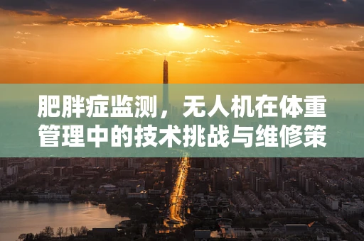 肥胖症监测，无人机在体重管理中的技术挑战与维修策略