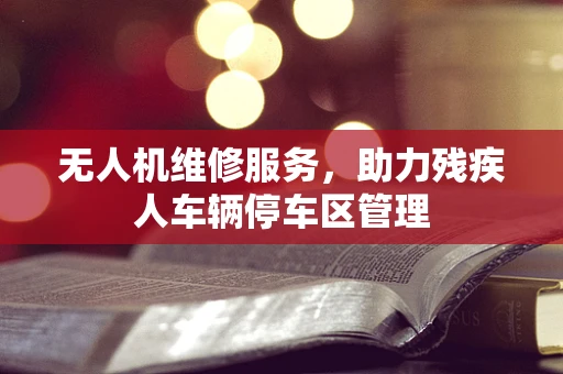 无人机维修服务，助力残疾人车辆停车区管理